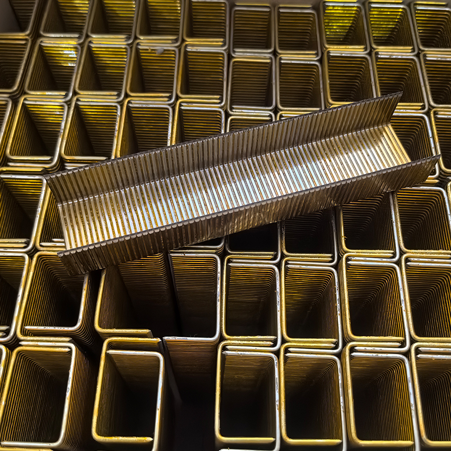 XVI gauge I Inch corona gravis filum Staples P16