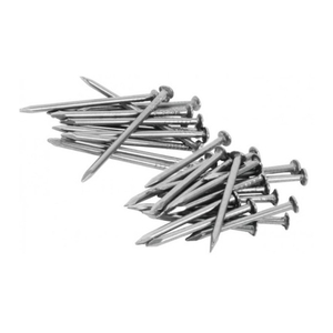 Galvanized Round Wire Steel Loose Nails