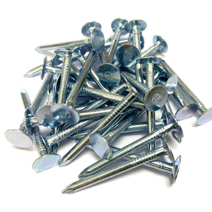 Tấm lợp mạ kẽm Đinh lợp m&aacute;i 1-1/ 2 In. X 0,120 In.