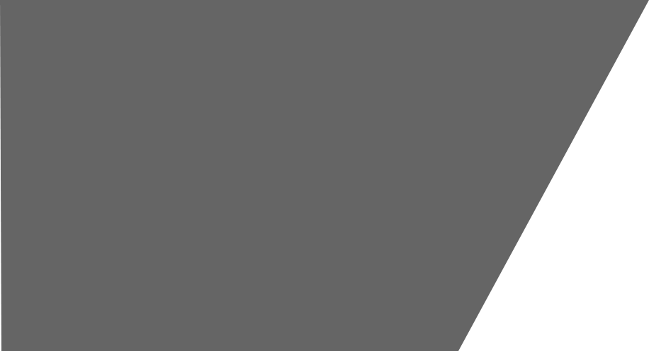 Bg .
