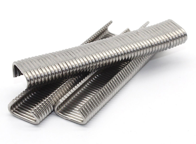 κρίκους από ανοξείδωτο ατσάλι 515DSS50B 