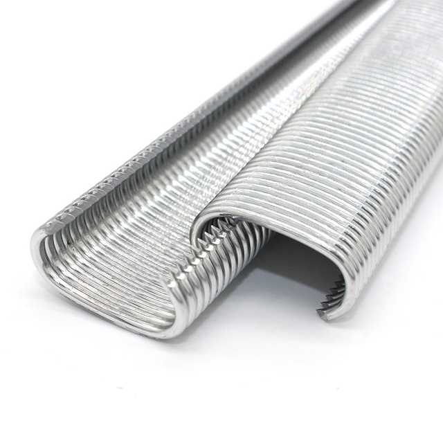 15GA 15G100 3/4 inç galvanizli domuz halka zımbaları