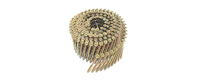 Spulennagelschrauben